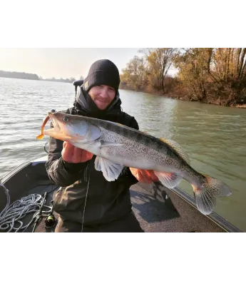 Westin ShadTeez (1 tk)