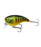 Berkley Pulse Biggie | Perch