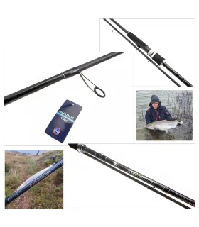Trout Bonanza meriforelli ritv