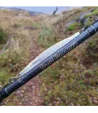 Trout Bonanza