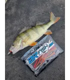 DUO Bay Ruf BR Fish