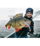 Rapala CrushCity The Kickman