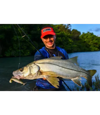 Jigipea VMC Bullet Jig