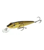 Salmo Pike