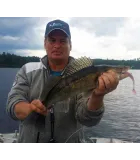 K.P BAITS Lazy Shad