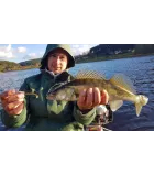 K.P BAITS Lazy Shad