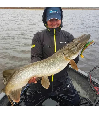 K.P BAITS Pike Shad Junior