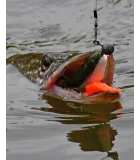 Savage Gear Cannibal Shad