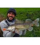 Savage Gear Cannibal Shad