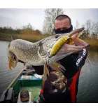 Savage Gear Cannibal Shad