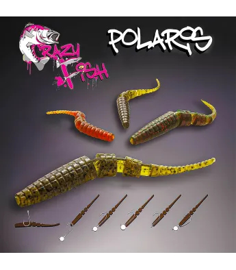Crazy Fish Polaris
