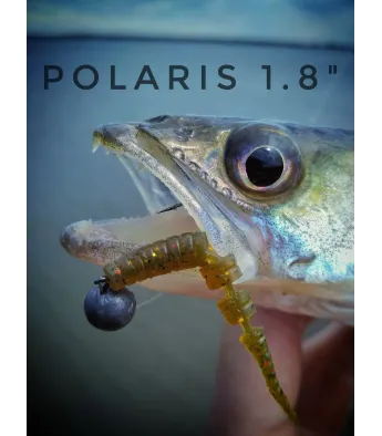 Crazy Fish Polaris