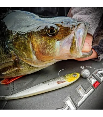 Westin TwinTeez V2 V-Tail