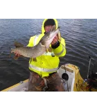 Salmo Slider