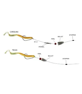 Carolina ja Texase rakendused