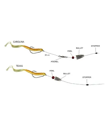 Carolina ja Texase rakendused