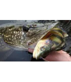 Savage Gear 4D Line Thru Perch