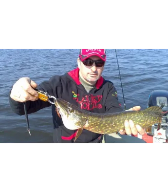 Käsitöö pöörlevad Sukre