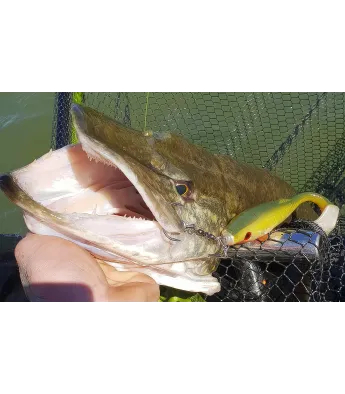 K.P BAITS Pike Shad Junior