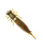 Fanatik Larva | värv 004