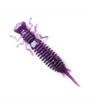 Fanatik Larva | värv 008