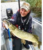 Strike Pro Pig Shad