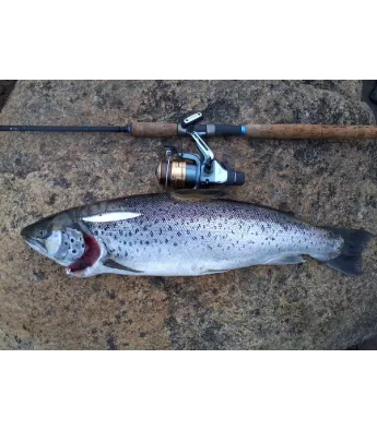 Aapua (Sven Laaneti) käsitöölandid