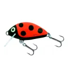 Salmo Tiny | Ladybird