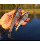 Rapala X-Rap Peto