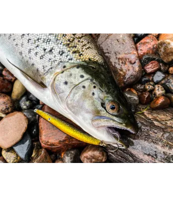 Kolmikkonksud BKK Fangs Super Slide BT621-SS