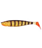 Gunki Bumpy | Ghost Stripe Perch