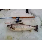 Aapua (Sven Laaneti) käsitöölandid