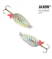 Jaxon Karas Spark