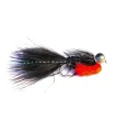 Makucha leech