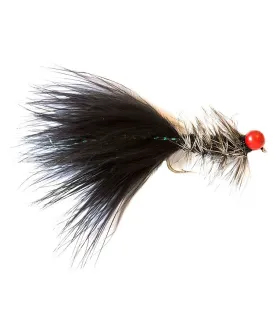 Taddy Hot Viva Leech