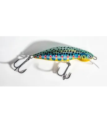 RV voobler 60 mm | Parr