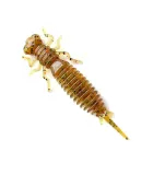 Fanatik Larva | värv 003