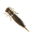 Fanatik Larva | värv 006