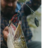 Daiwa Prorex DB Spinnerbait