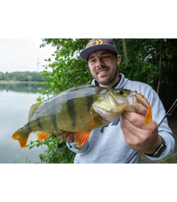 Daiwa Prorex Both Craw