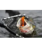 Keitech Easy Shiner