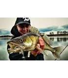 Keitech Easy Shiner