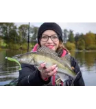 Keitech Easy Shiner