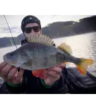 Keitech Easy Shiner