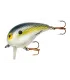 Bomber Shallow A | Foxy Shad