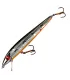 Smithwick Suspending Super Rogue Jr. | Chrome / Black Back / Orange Belly