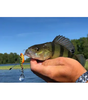 Daiwa Prorex Metal Vib