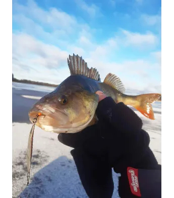 Vänto Lures siku "Kuusk"