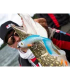 Abu Garcia® Beast Twin Tail