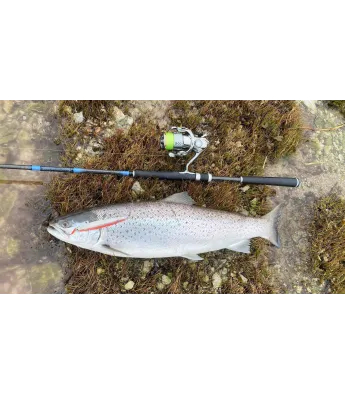 Viirastus Freyr meriforelli käsitöölandid